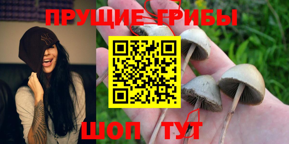 Псилоцибиновые грибы Cubensis  Вход с VPN  цена наркотик  Галлюциногенные грибы Cubensis  Углич 